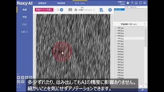 Roxy AI ワンクリック アノテーション