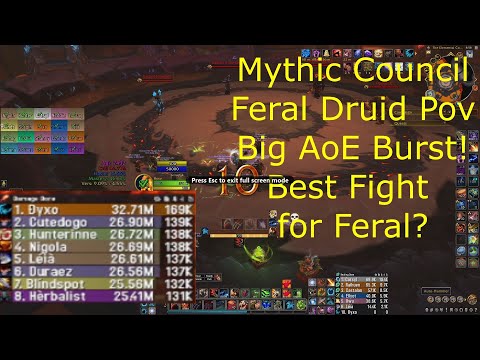 Mythic Primal Council Feral Druid PoV - Best AoE Fight + Huge Burst - [10.0.5 Dragonflight]