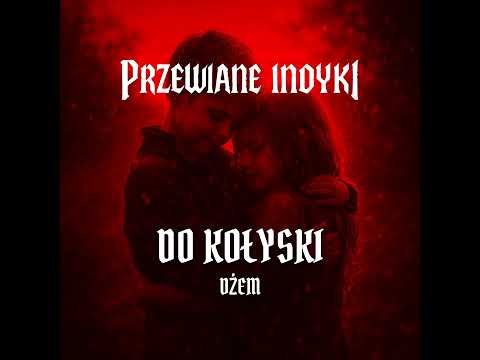 🔥 Dżem - Do Kołyski (cover) #rock #metal