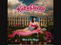 Katy Perry Hot N' Cold 