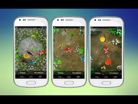 Koi Special Free Live Wallpaper Video