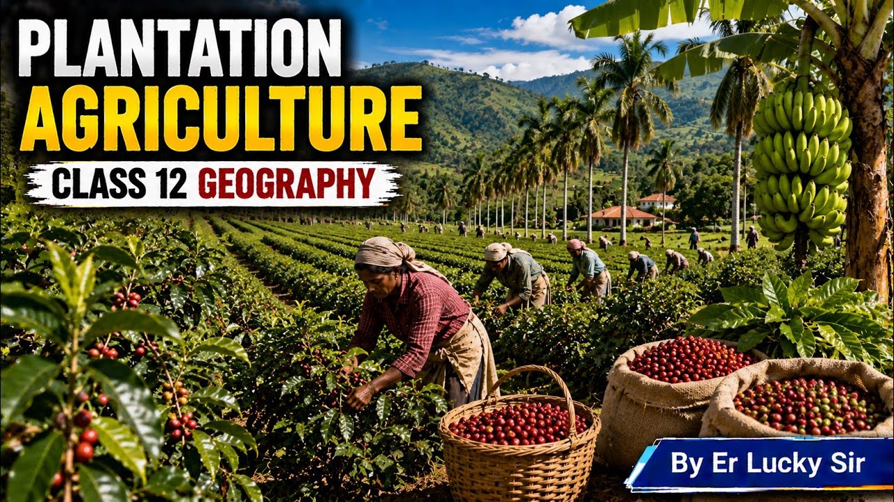 Plantation Agriculture - Class 12 Geography