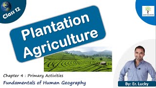 Plantation Agriculture - Class 12 Geography