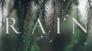 Download lagu RAIN｜Cinematic short film / Rainy Nature B roll mp3