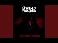 BLOODHOUND