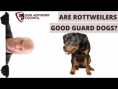 Are Rottweilers Good Guard Dogs?