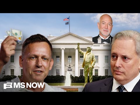 ‘Billionaire CRISIS’: How the country's wealthiest are 'bankrolling' U.S. politics