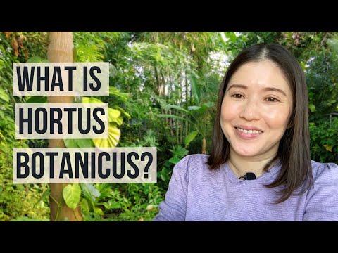 Hortus Botanicus Amsterdam