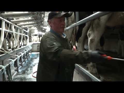 Milking Parlour - Image 2