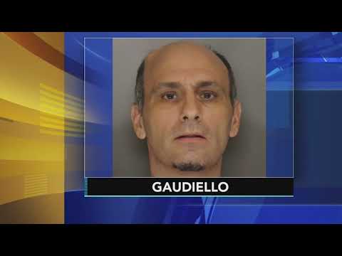 Schools employee charged with 100 counts of child pornography