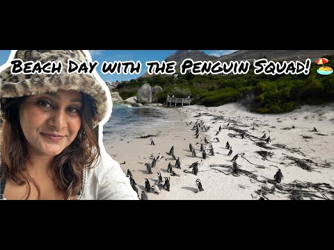 "Penguins at the Beach?! You Won’t Believe What They Did! 🐧😂"