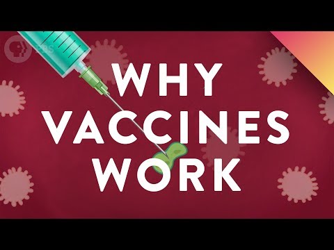 Why Vaccines Work