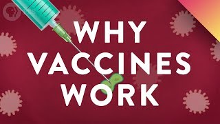 Thumbnail for Why Vaccines Work