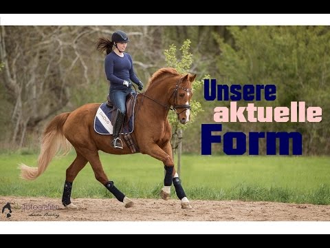 Unsere aktuelle Form - kommentiertes Training