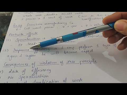 Meaning of principles management principles class 12 business studies