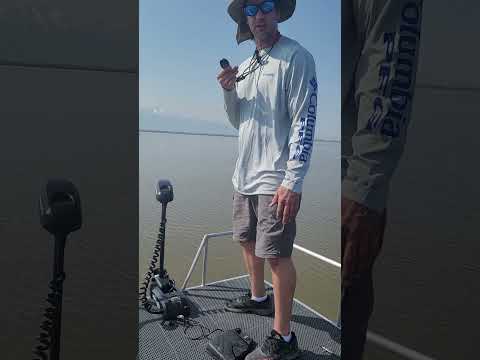 Minn Kota PowerDrive in action