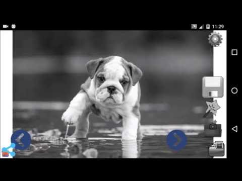 Black and White Camera Video