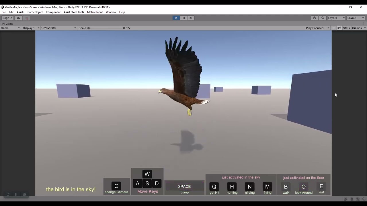 写实动画金鹰 3D 模型