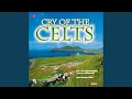 YouTube thumbnail of Stål Himmel by Alan Fernie
