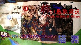 【鳥取市用瀬町】猫渕～化け猫の住処～【怖い鳥取実況】