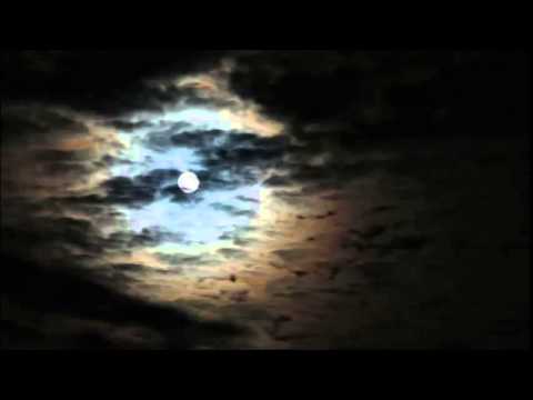 HARY-Łza (feat.Zamrix)