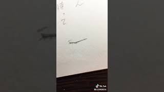 「まあ私なんだけどね！」これクソワロタwwwwwww  tiktok厳選集#2