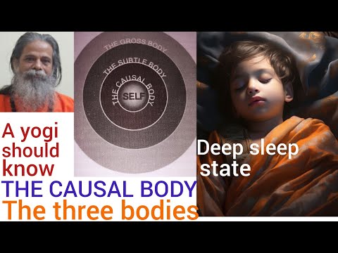 3. THE CAUSAL BODY (Karana Sharira), Three Bodies- a Kriyavan (Yogi) should know.
