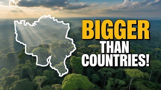 Top 10 Largest Forests on Earth (That Are Bigger Than Countries)