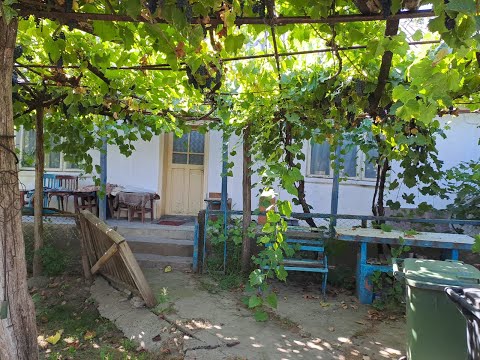 Casă bătrânească, comuna Itești Bacău | Teren Intravilan 4924 mp