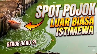 Download lagu Mancing Ikan Bawal Spot Pojok Gak Pernah Ingkar Janji! Strike Bawal Yang Istimewa mp3