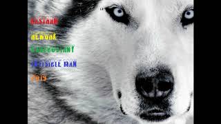 bastran rework kadebostany  invisible man 2019