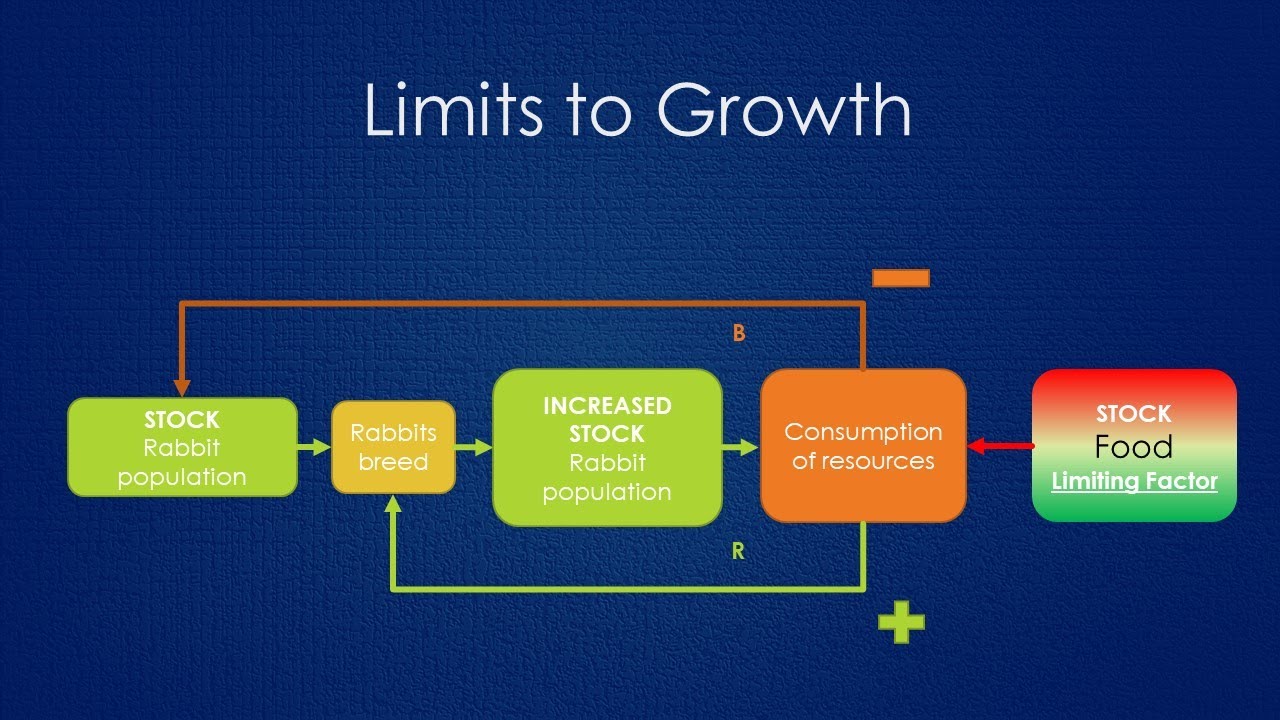 Limits to Growth Systems Archetype