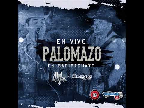 El Banks -  Abel Bustillos Ft Elementos De Culiacan - Palomazo En Badiraguato (En Vivo 2020)