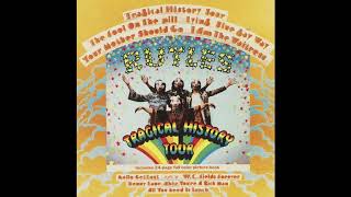 The fool On The pill (Questionnaire) (Remastered 2025)