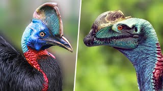 This Bird Was A Dinosaur In Past