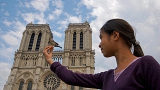 LA DAME BRUNE barbara georges moustaki