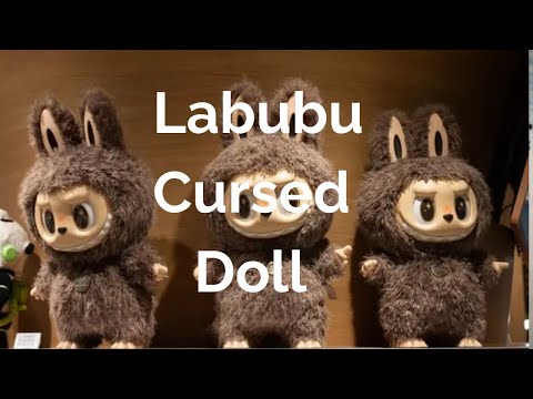 Cursed Labubu Doll - Selwyn Van Wyk