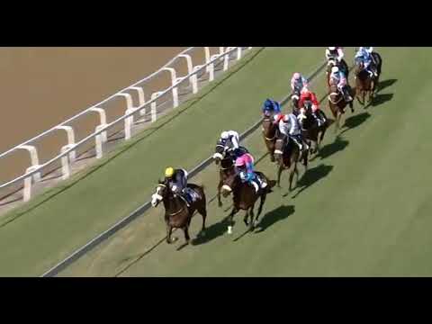 CARALLUMA - Devon Air Stakes