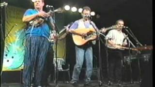 Seldom Scene 1996 - &quot;Our Last Goodbye&quot;