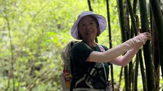 2025.08.17群英登山隊 畝畝山 石硿子瀑布 O 型