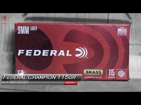 Federal .22 LR Hollow Point - Bulk Ammo Shooting Review - 7 Gun Test - WOW! - Only Two Guns Liked It