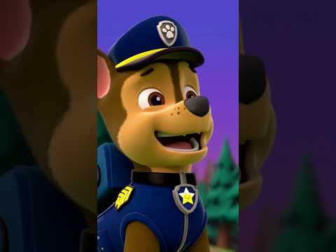 Chase worries about Skye after rescuing Chickaletta - Paw patrol