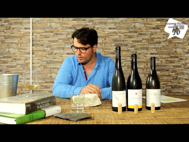 Video Pronunciation of Niepoort in English