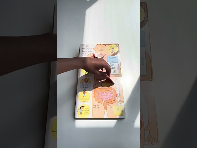 انظر داخل-جسمك