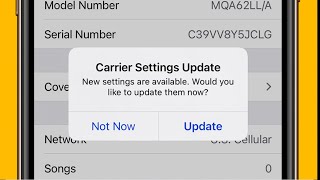 Carrier Settings Update Message On iPhone