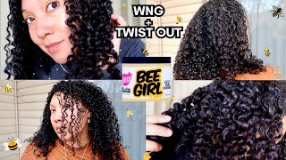 Umm what!? The Doux Bee Girl Honey Curl Custard - WASH AND GO + TWISTOUT RESULTS | *Very Detailed*