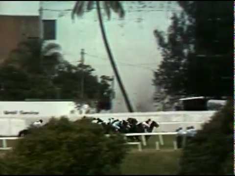 Politician 1978 Durban July