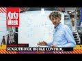 Sensotronic Brake Control – Cornelis schetst