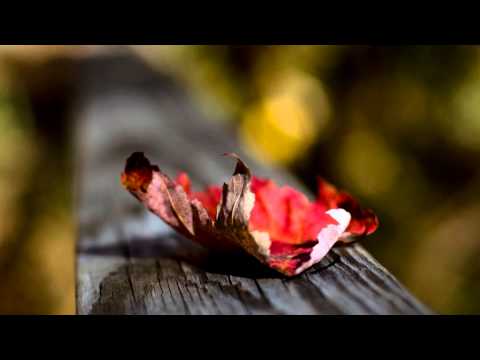 Andy B. Jones - Let The Music (Original Mix)