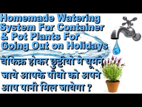 Auto Watering System For Plants While On Vacation & Holidays